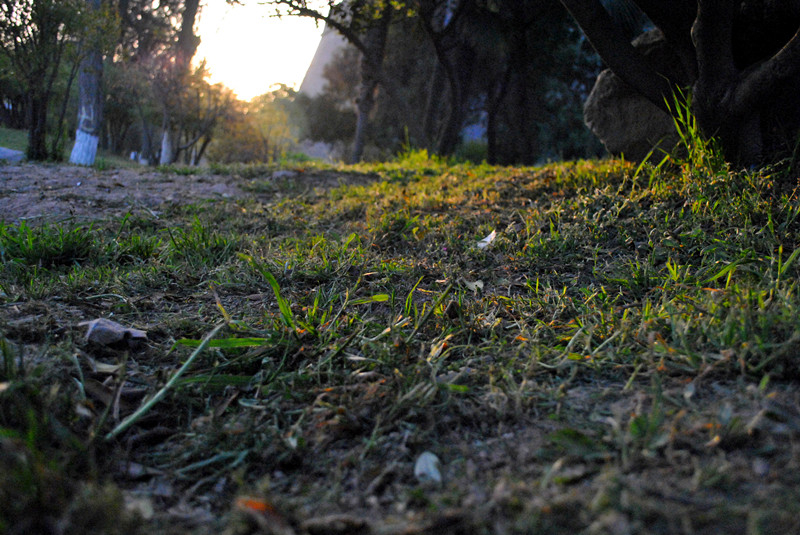DSC_0025_副本.jpg