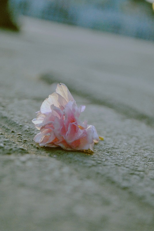 DSC_0032_副本.jpg
