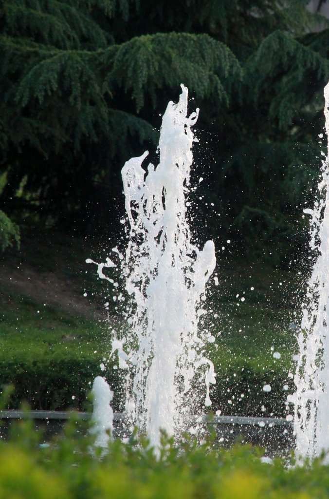 8-IMG_3113.jpg