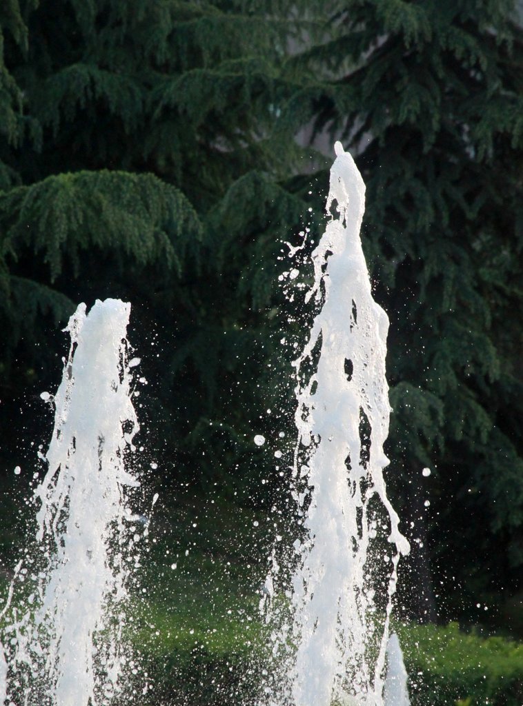 9-IMG_3114.jpg