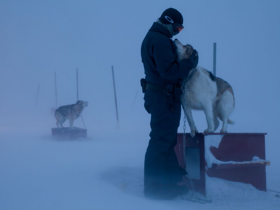 sled-dogs-hoffmann_49760_990x742.jpg