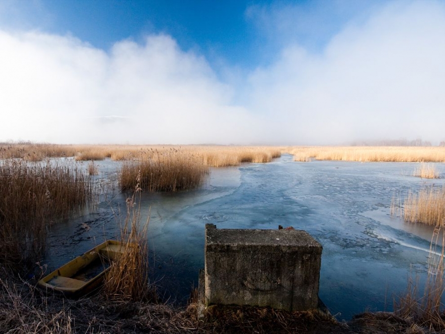 karkonosze-park-wetland_50510_990x742.jpg