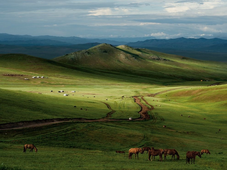 horses-mongolia-leong_49122_990x742.jpg