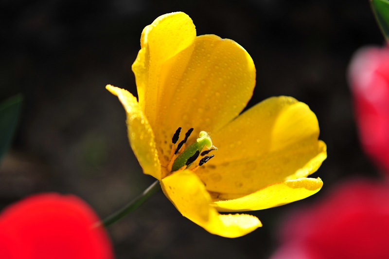 DSC_3374.jpg