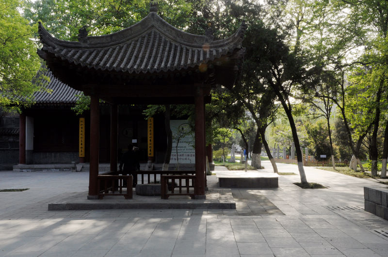 照片 09320.jpg