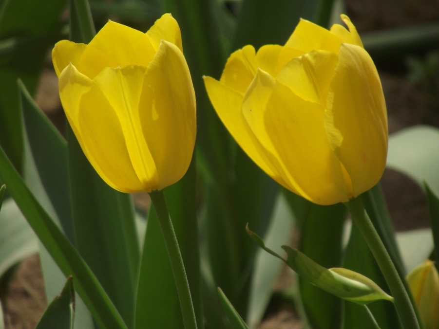 DSCF3288.JPG