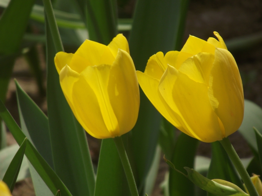 DSCF3289.JPG