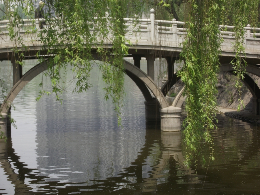 DSCF3332.JPG