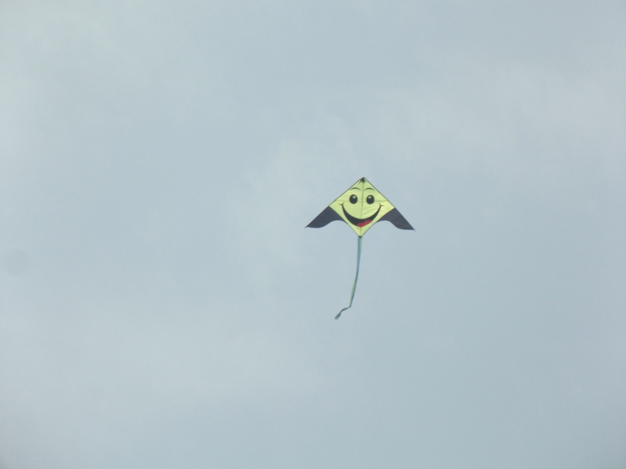 DSCF3348.JPG
