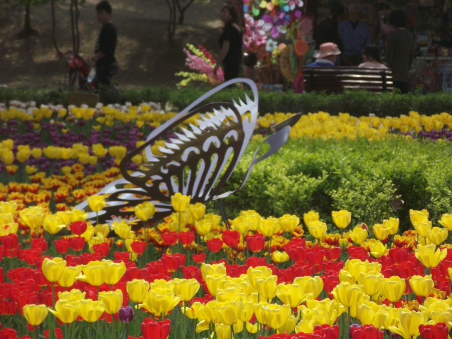 DSCF3373.JPG