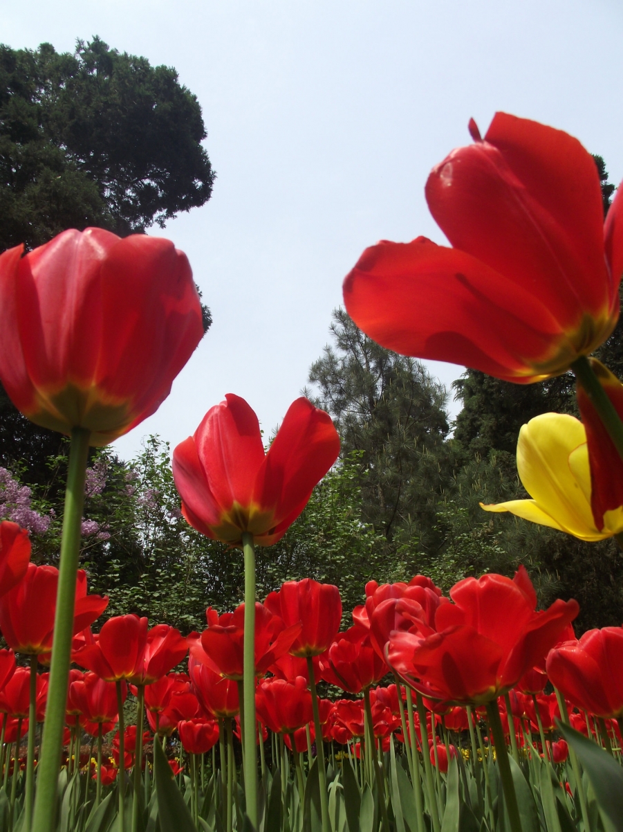 DSCF3400.JPG