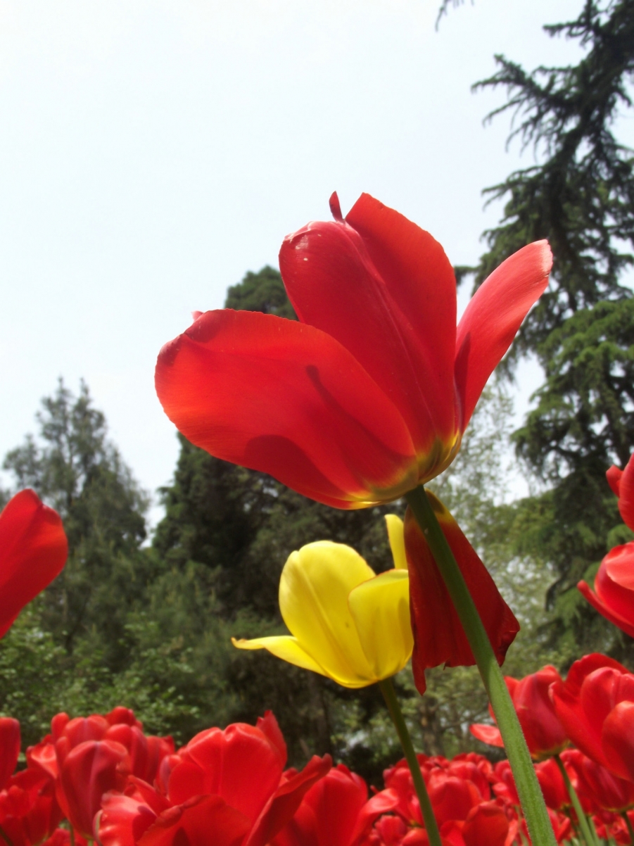 DSCF3401.JPG