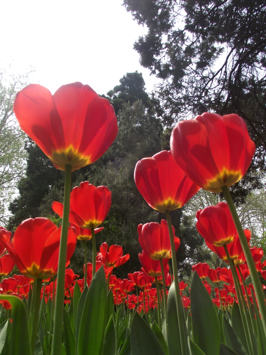 DSCF3402.JPG
