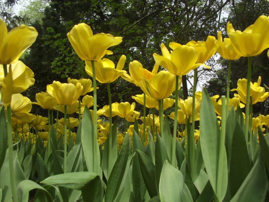 DSCF3416.JPG