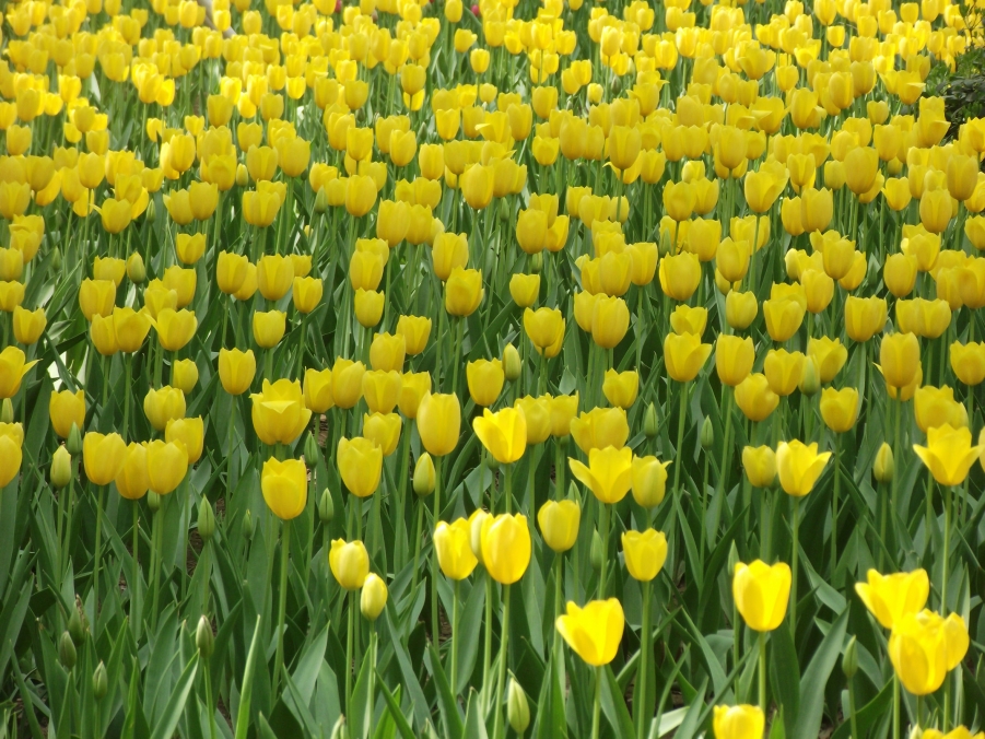 DSCF3280.JPG