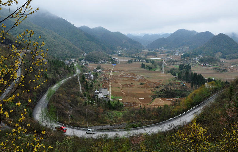 DSC_7897 复制.jpg