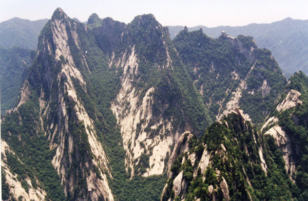 图三：