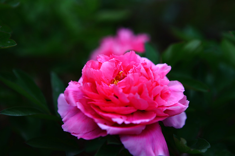 IMG_2010-1_副本.jpg