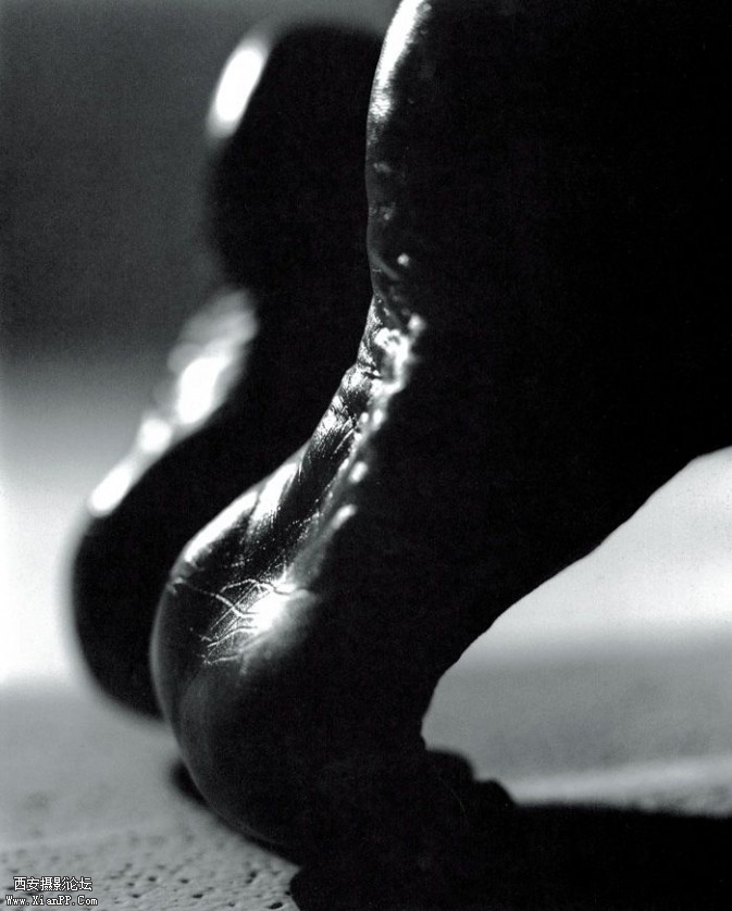 body06-673x838.jpg