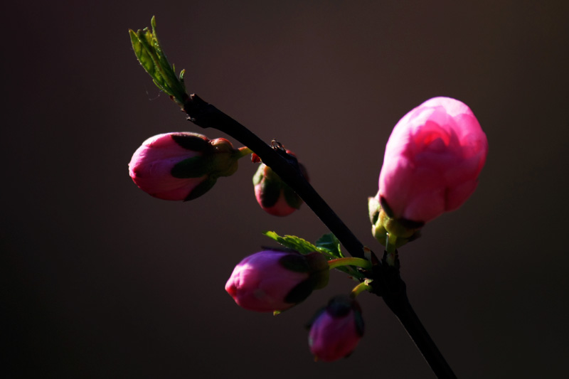 照片 084.jpg