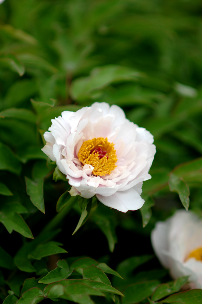 DSC_0054.JPG