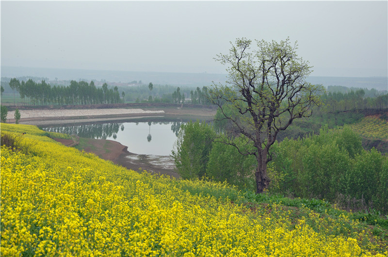 DSC_0066_副本.jpg