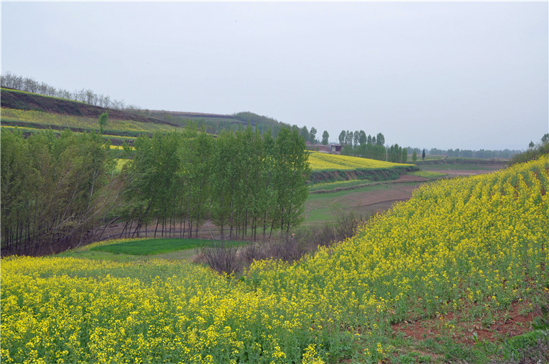 DSC_0101_副本.jpg