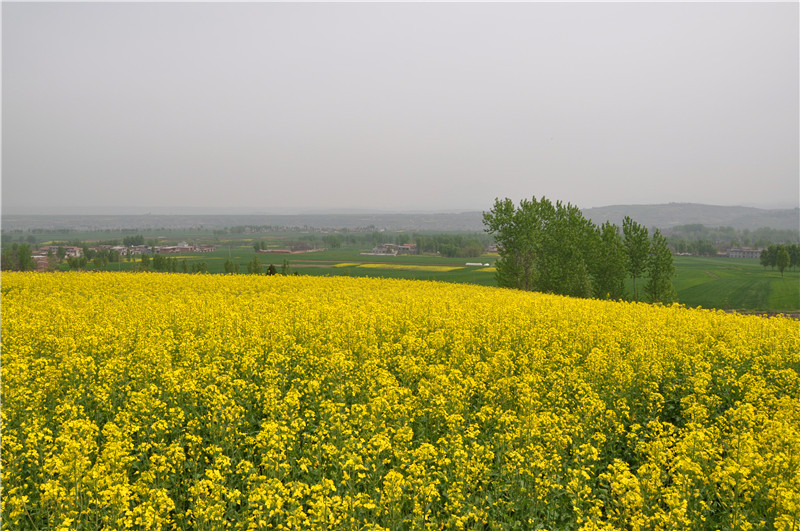DSC_0420_副本.jpg