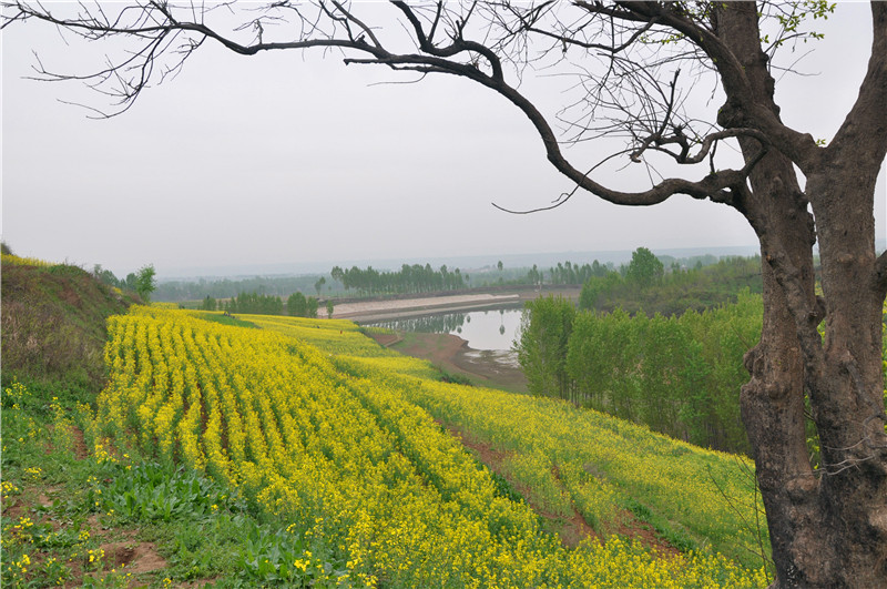 DSC_0062_副本.jpg
