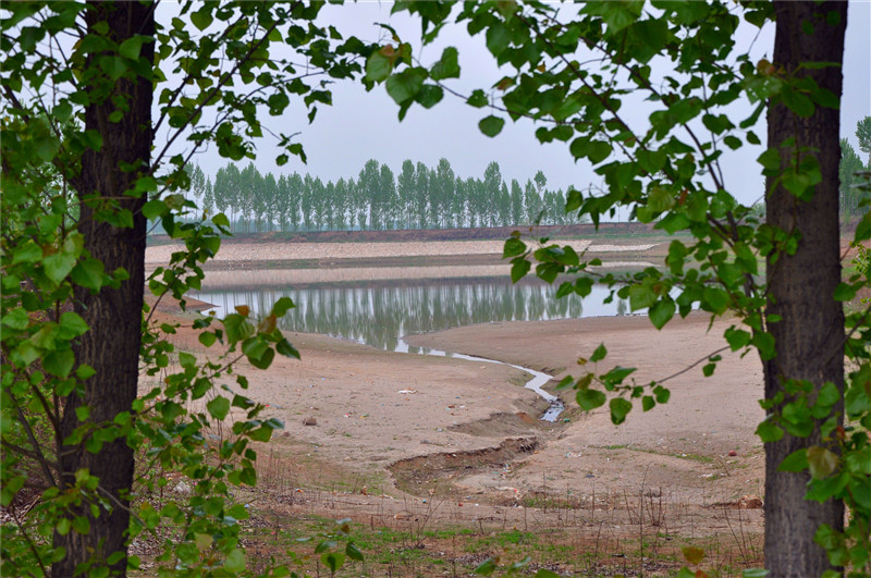 DSC_0301_副本.jpg