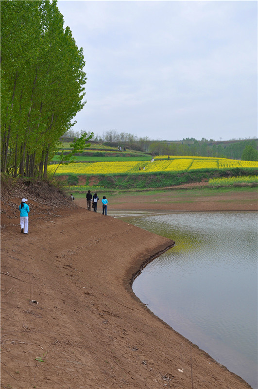 DSC_0331_副本.jpg
