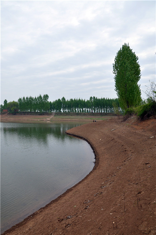 DSC_0335_副本.jpg