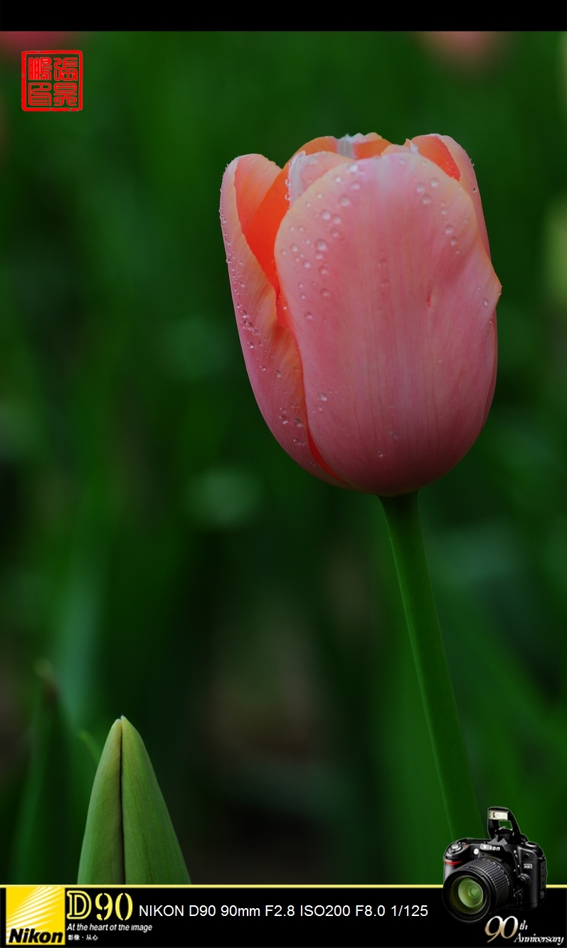 DSC_0010.jpg