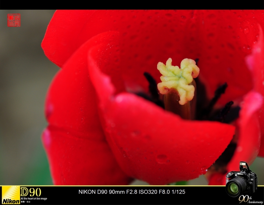DSC_0025.jpg