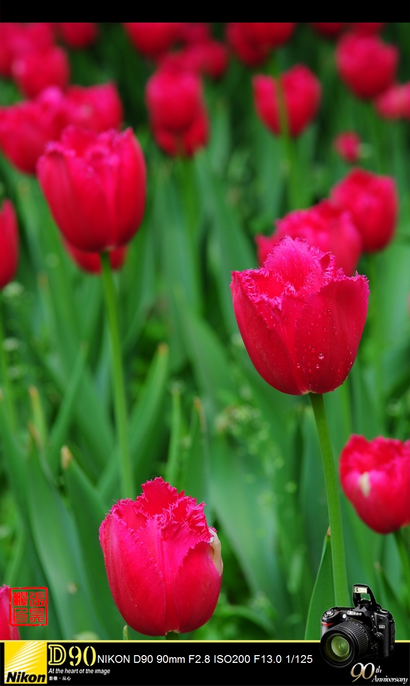 DSC_0044.jpg