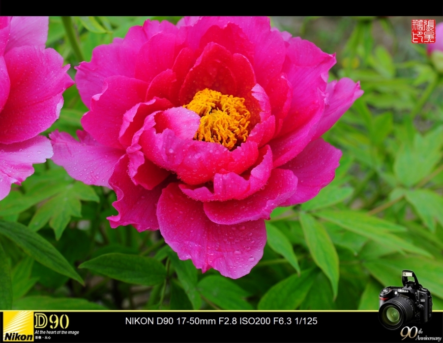 DSC_0127.jpg