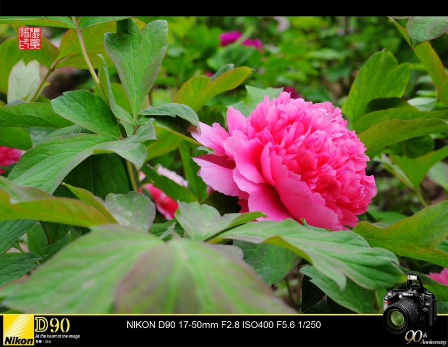 DSC_0155.jpg