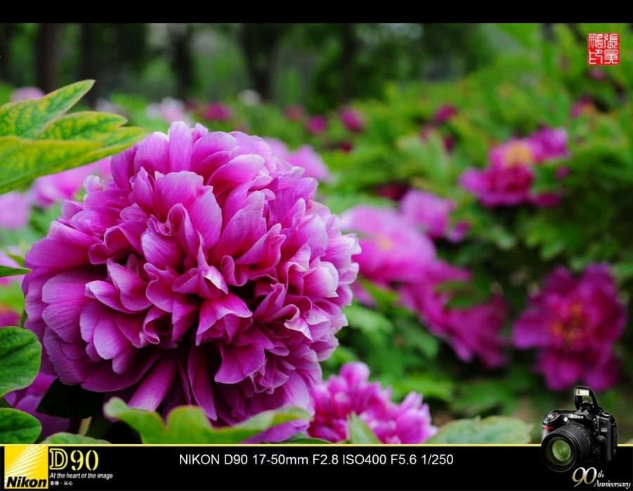 DSC_0161.jpg