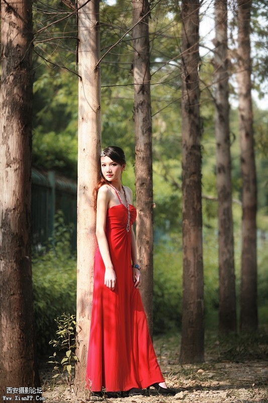 a12832023_s.jpg