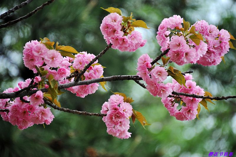 0SC_8308.JPG