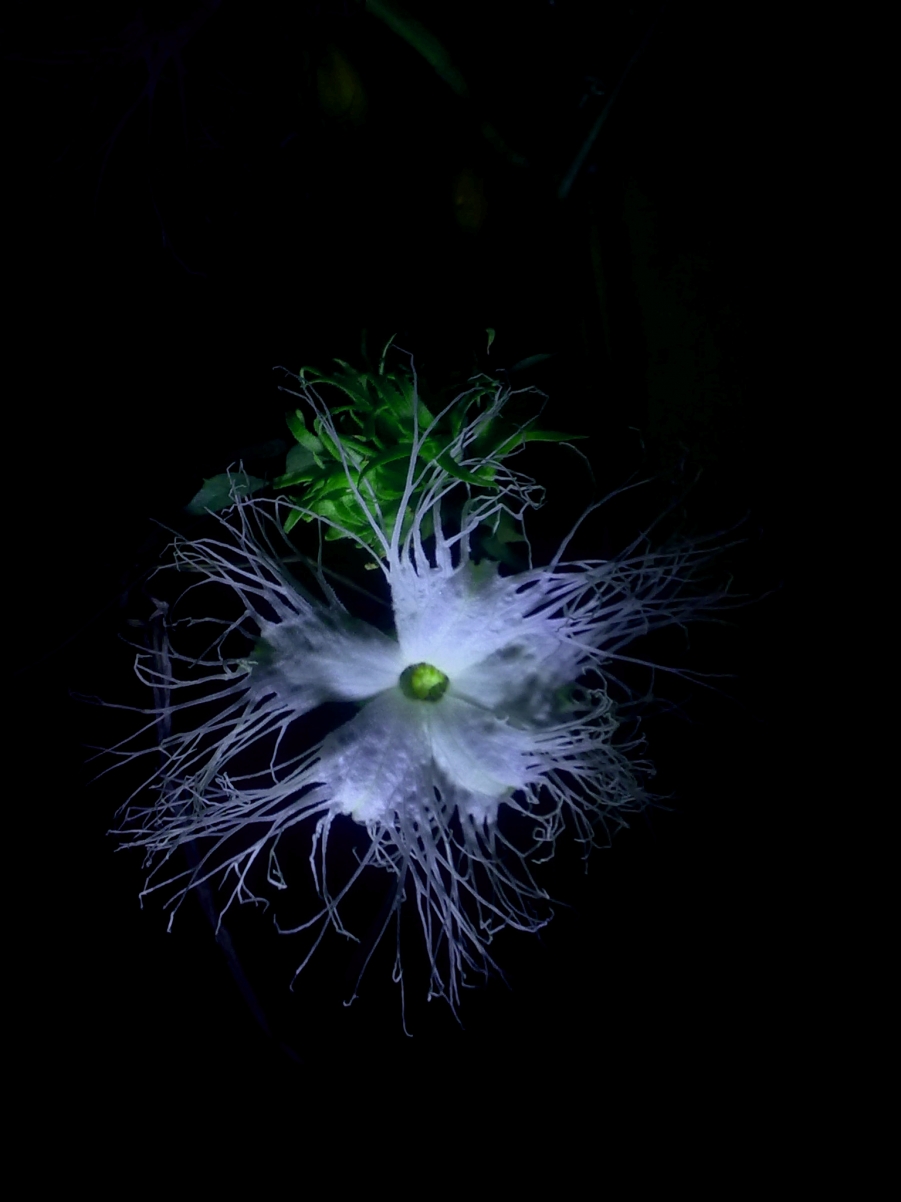 20110618449.jpg