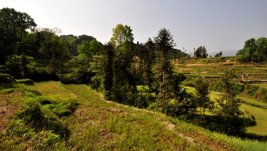 DSC_0274.jpg