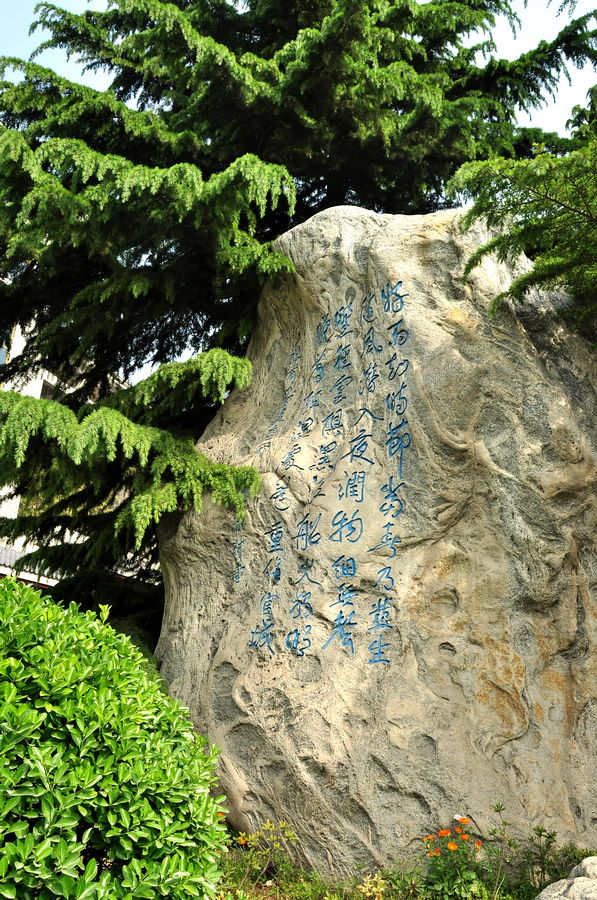 DSC_5438.JPG
