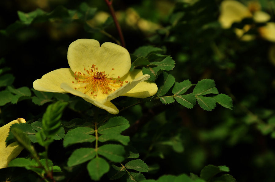 DSC_5476.JPG