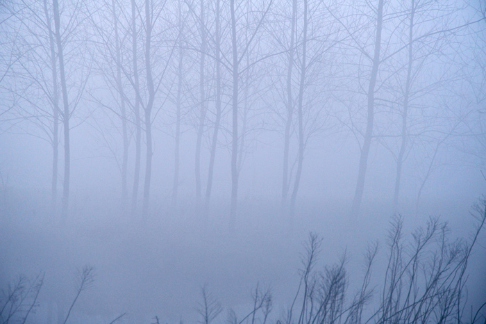 DSC_7562b.jpg