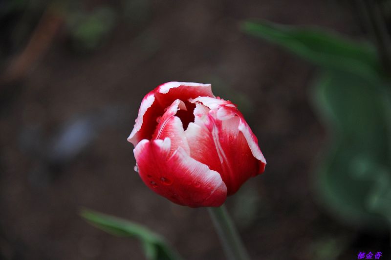 0SC_8973.jpg
