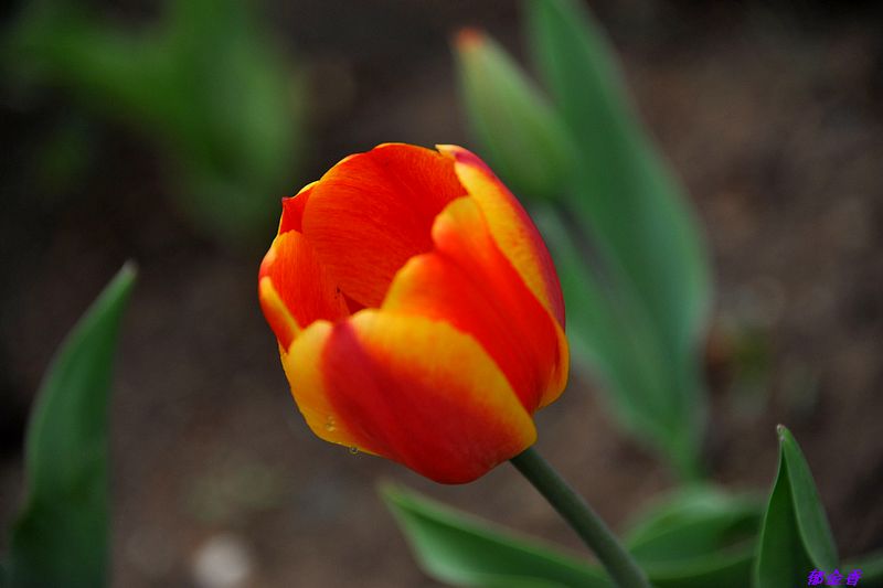 0SC_8977.jpg