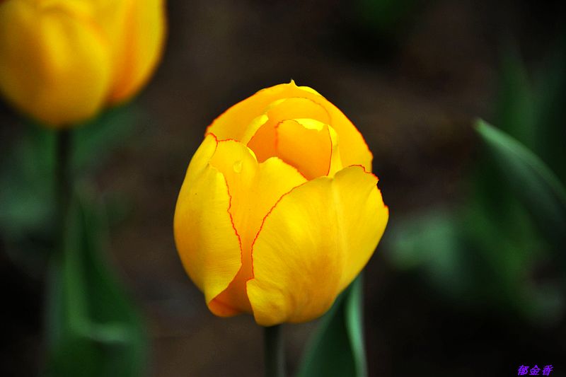 0SC_8992.jpg