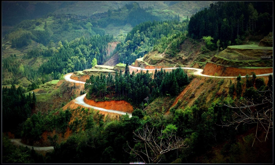手机墙纸 (3).JPG