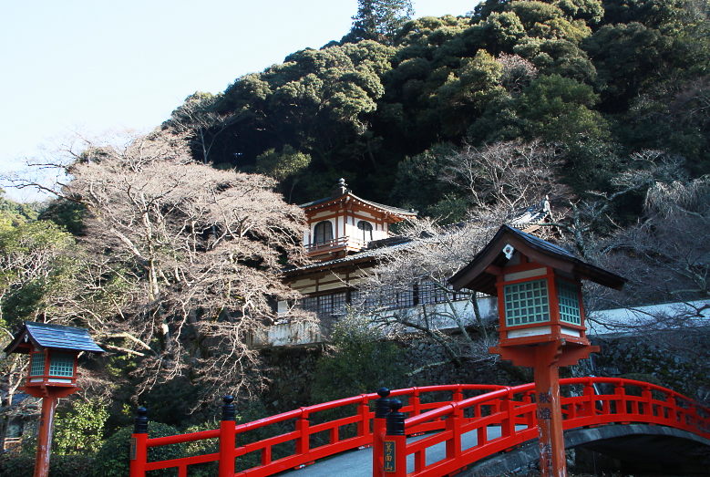 DPP_0110.jpg